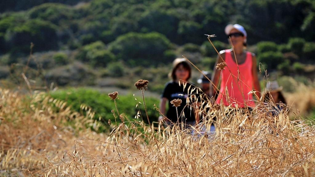 Village De Vacances Paese Di Lava, Grand Ajaccio Alata Kültér fotó